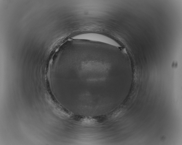 X0000111200403200907151419