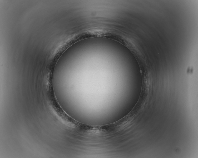 X0000111200404200907151419