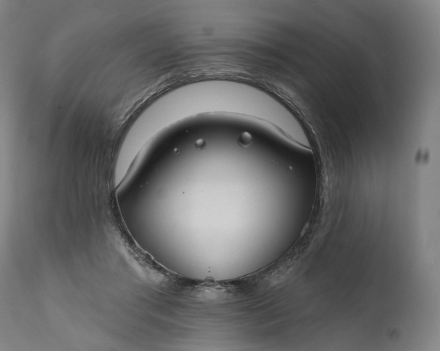 X0000111200405200907151419