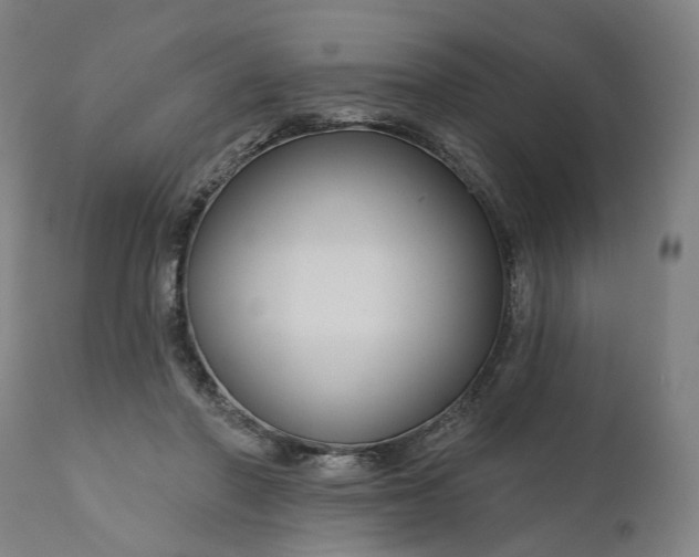 X0000111200406200907151418