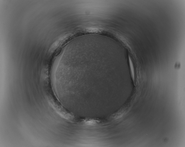 X0000111200407200907151418