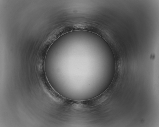 X0000111200408200907151418