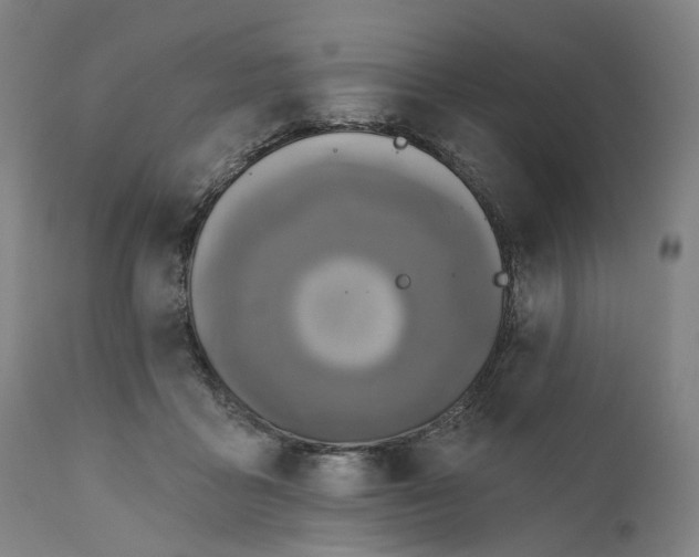 X0000111200411200907151418