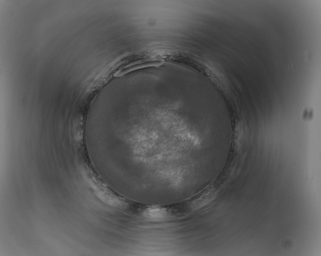 X0000111200413200907151418