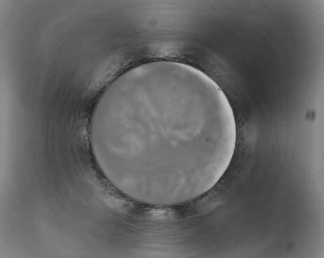 X0000111200415200907151418