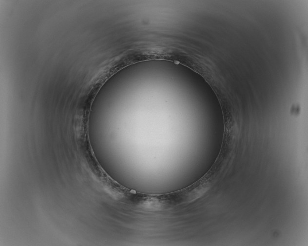 X0000111200416200907151418