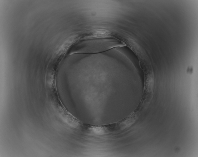 X0000111200417200907151418