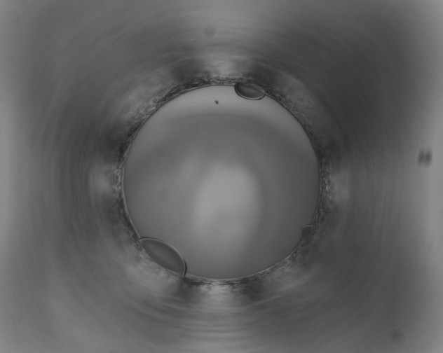 X0000111200419200907151418