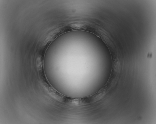 X0000111200420200907151418