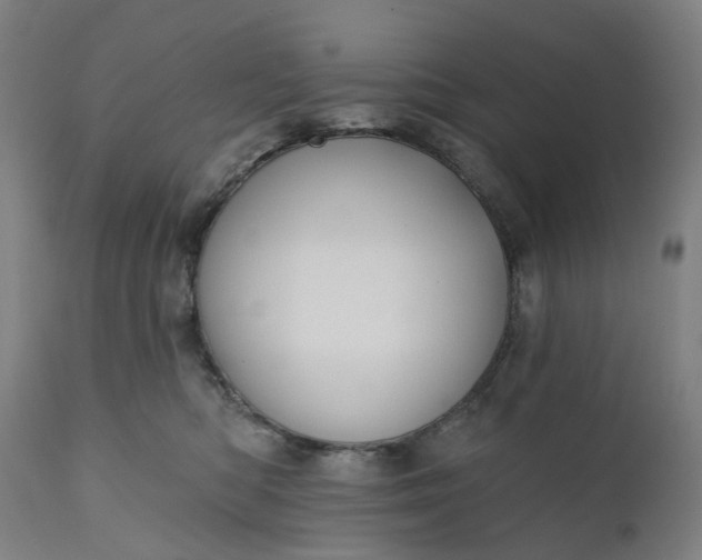 X0000111200422200907151418