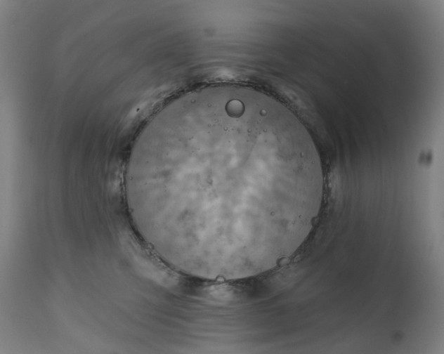 X0000111200423200907151418