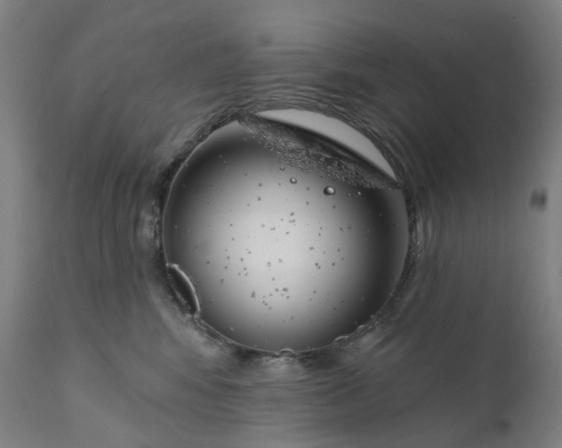 X0000111200424200907151418