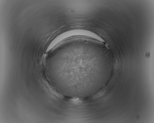 X0000111200425200907151418