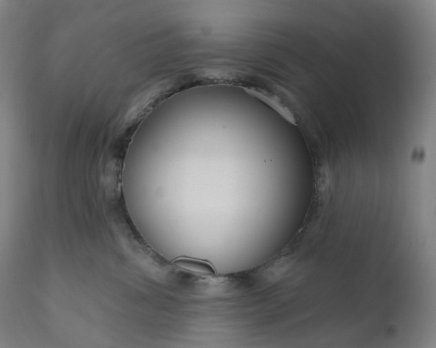 X0000111200428200907151418