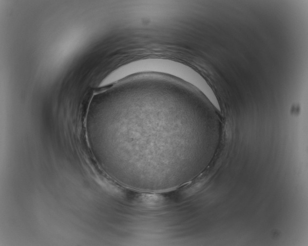 X0000111200429200907151418