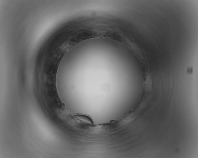 X0000111200430200907151418