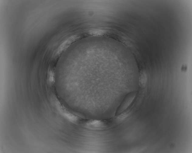 X0000111200431200907151418