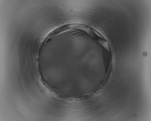 X0000111200434200907151417