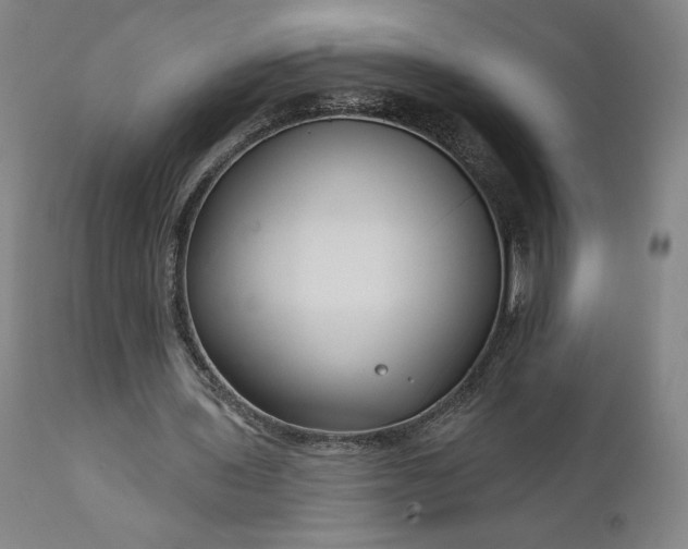 X0000111200435200907151417