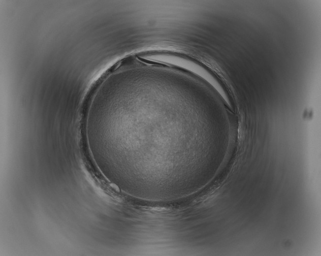 X0000111200436200907151417