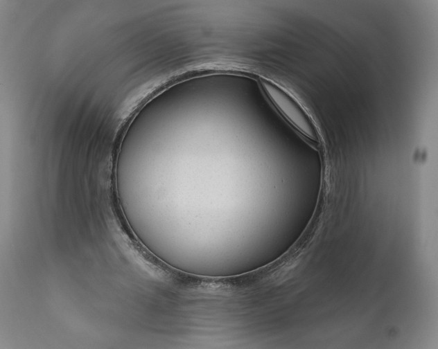 X0000111200437200907151417