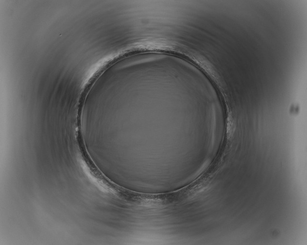 X0000111200438200907151417