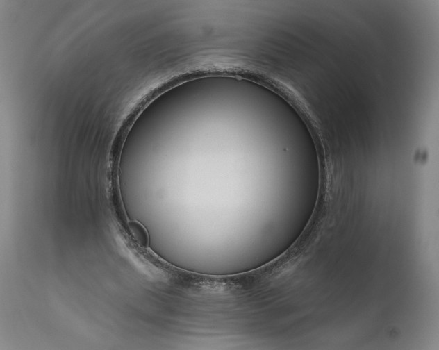 X0000111200439200907151417