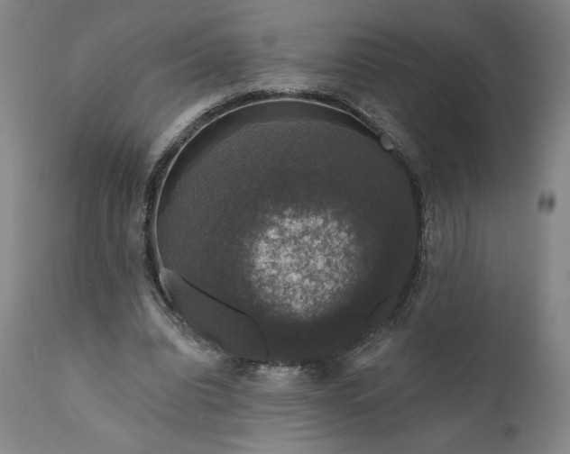 X0000111200440200907151417