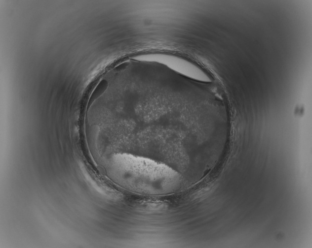 X0000111200443200907151417