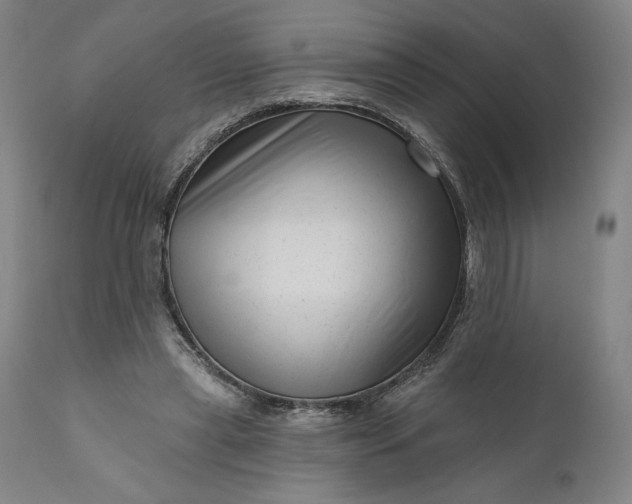 X0000111200445200907151418