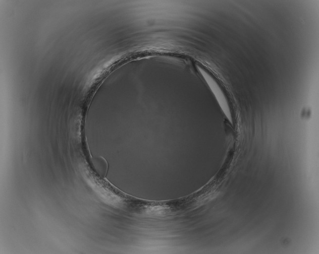 X0000111200446200907151418