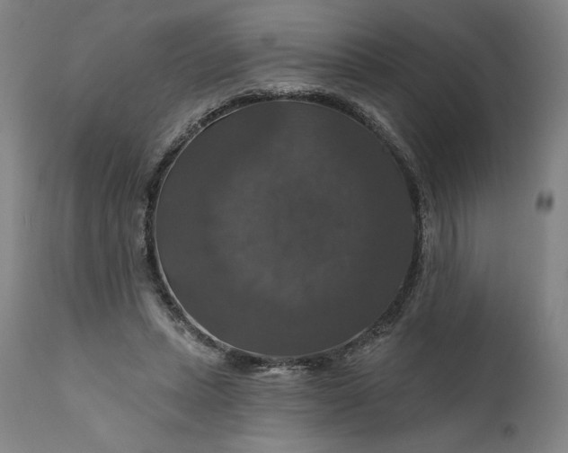 X0000111200447200907151418