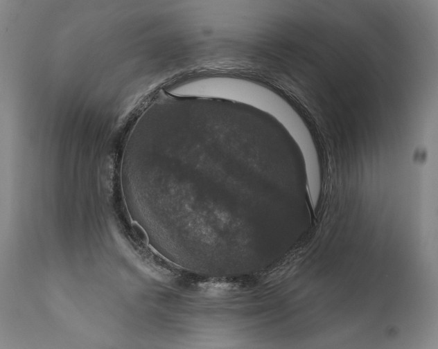 X0000111200448200907151418