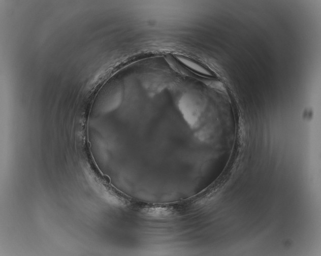 X0000111200449200907151418