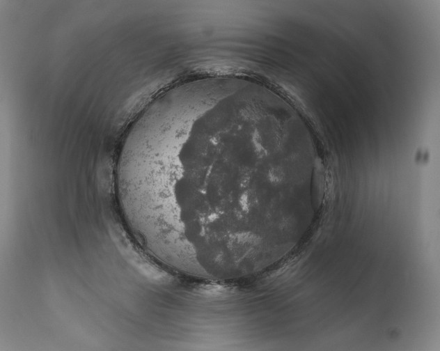 X0000111200453200907151418