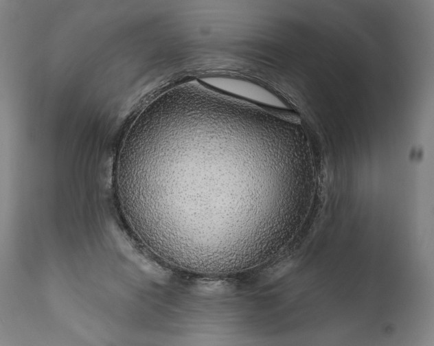 X0000111200454200907151418