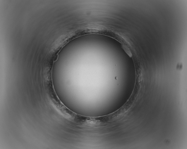 X0000111200455200907151418