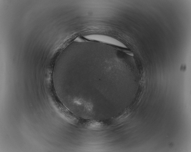 X0000111200456200907151418