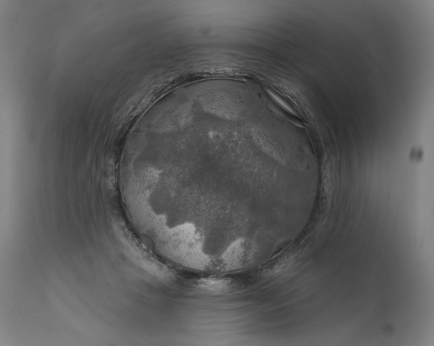 X0000111200457200907151418