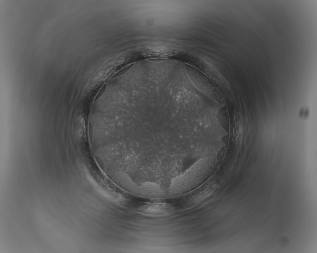 X0000111200459200907151418