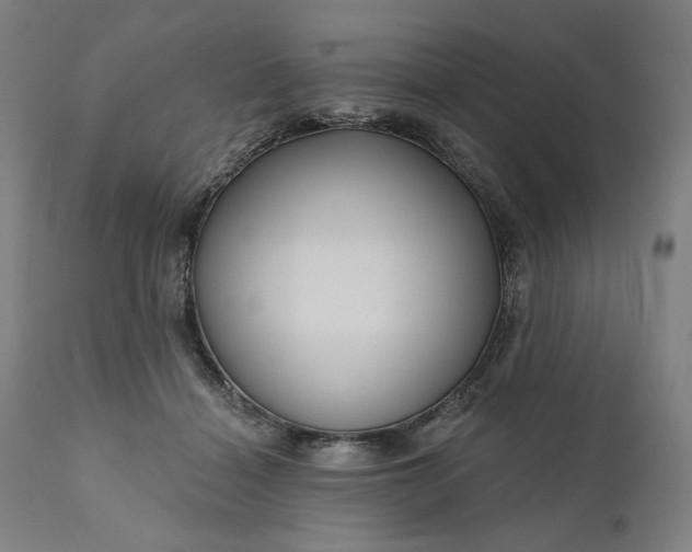 X0000111200460200907151418