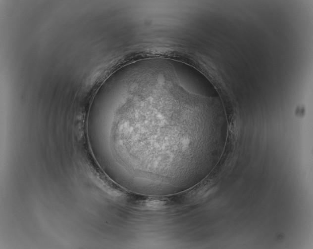 X0000111200462200907151418