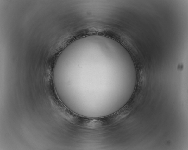 X0000111200463200907151418