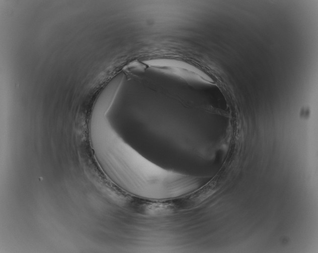 X0000111200465200907151418