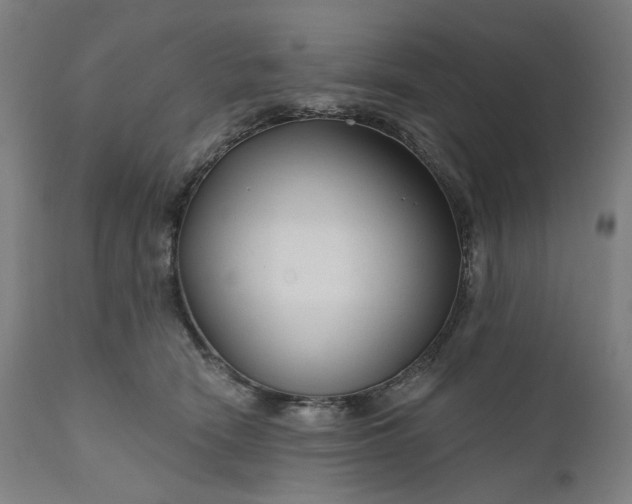 X0000111200466200907151418