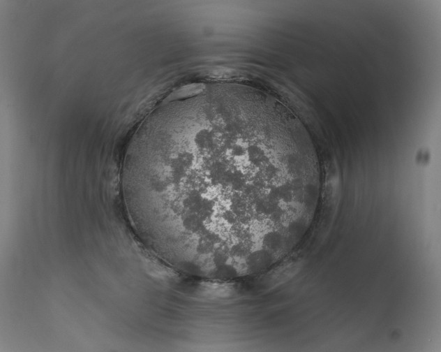 X0000111200469200907151418