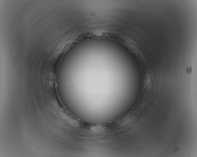 X0000111200470200907151418