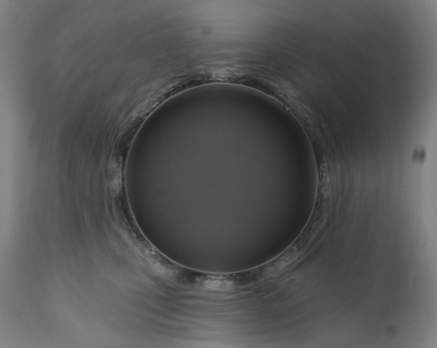 X0000111200471200907151418