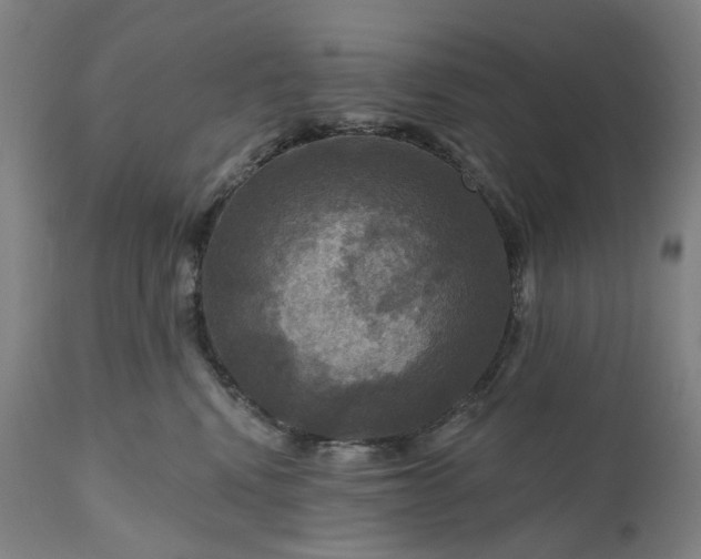 X0000111200472200907151418