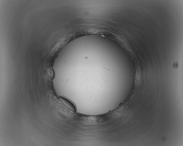 X0000111200473200907151418